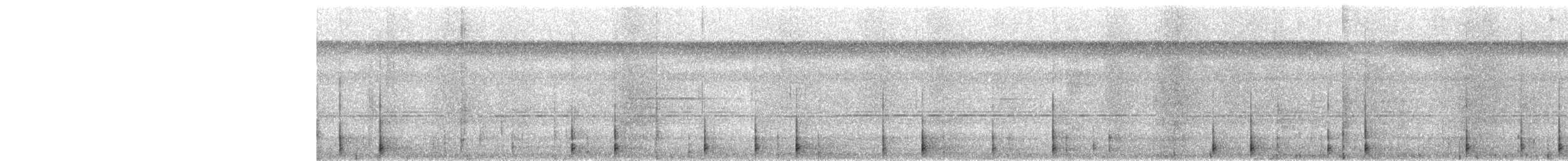 Waved Woodpecker - ML634073537