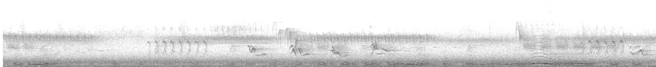 Chouette rayée - ML634073636