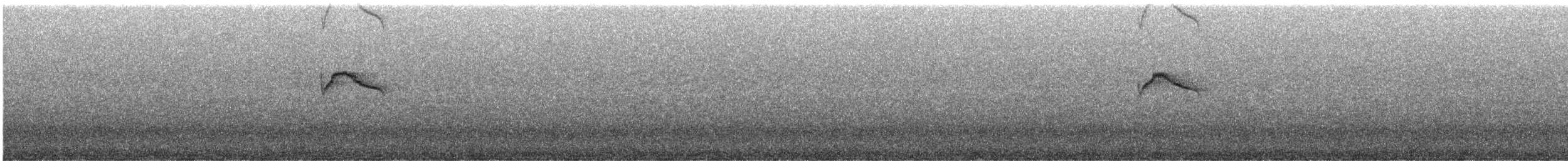 Blackish Chat-Tyrant - ML634073847