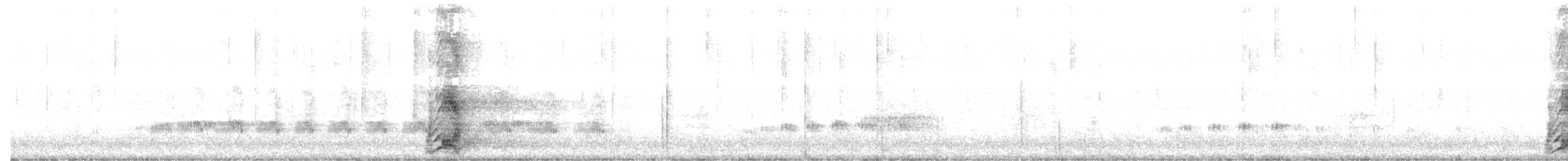 Yellow Wattlebird - ML634081816