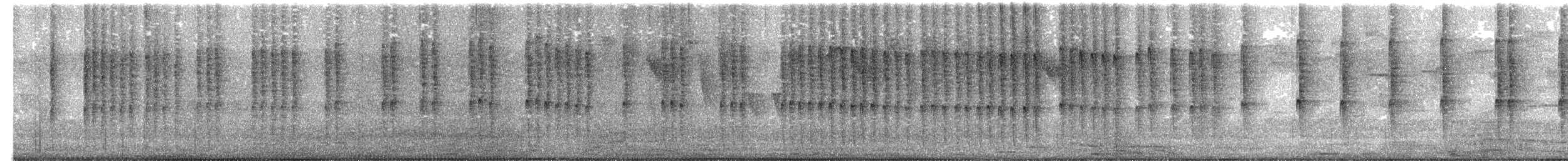 White-vented Plumeleteer - ML634091082