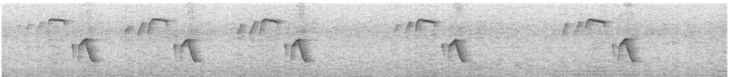 Gray-breasted Wood-Wren - ML634091700