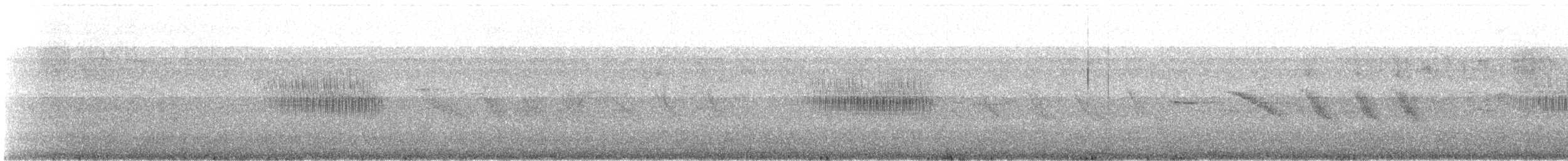 Band-tailed Seedeater - ML634093100