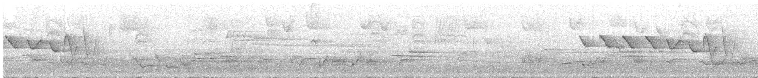 Louisiana Waterthrush - ML634093450