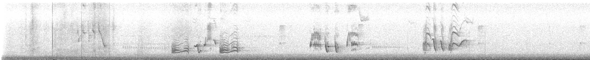 Brown Thrasher - ML634095195