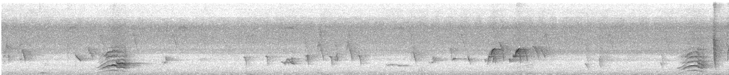 malabarhornfugl - ML634095917