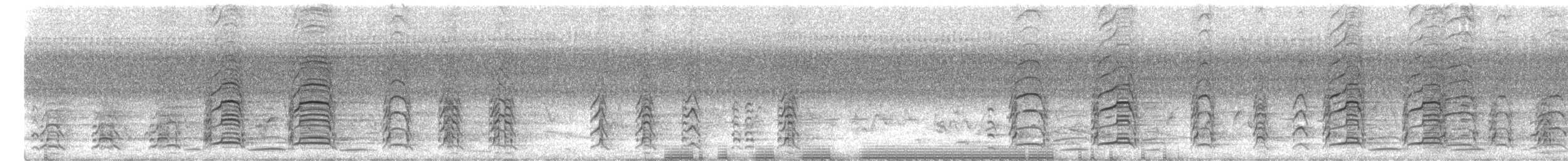 カササギサイチョウ - ML634096860