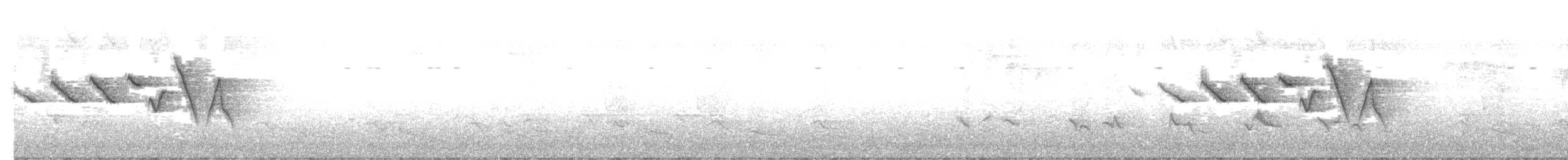 Swainson's Warbler - ML634101571