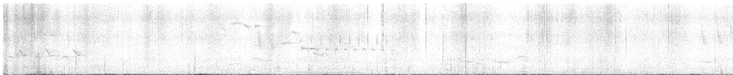 Western Yellow Wagtail - ML634102641