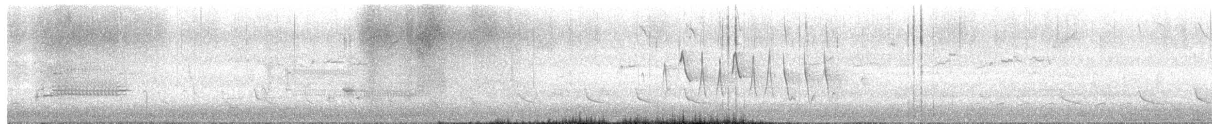 Northern Waterthrush - ML634103223