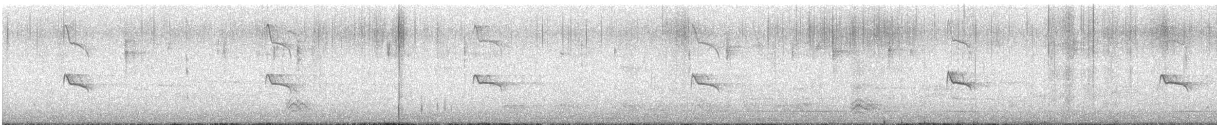 Black Phoebe - ML634104006