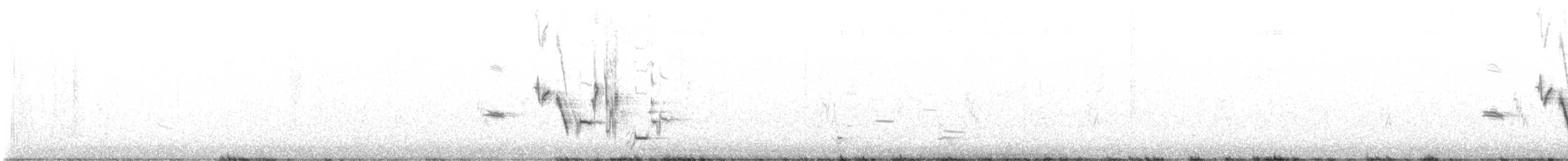 ニシマキバドリ - ML634104194