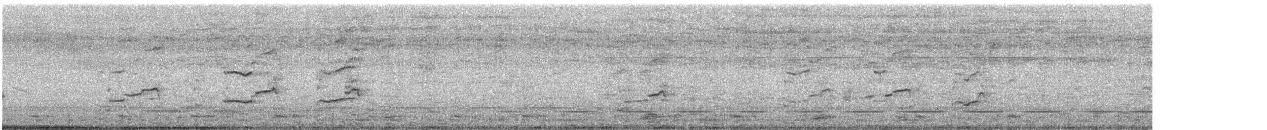 rapace sp. - ML634107236