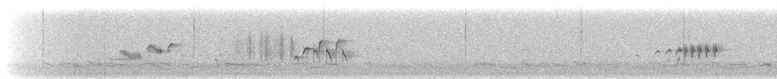 Black Redstart (Western) - ML634111589