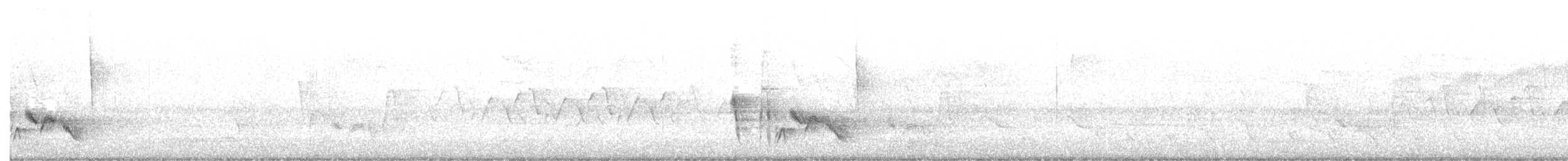 White-eyed Vireo - ML634112591