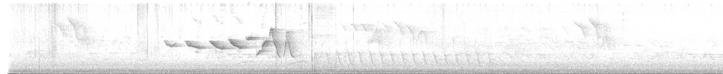 Swainson's Warbler - ML634117507
