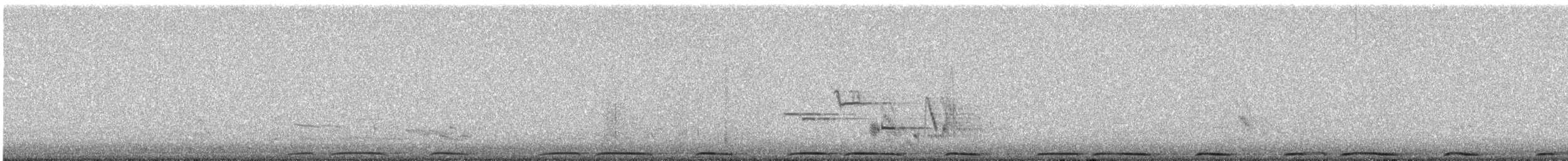 Usapal turkiarra - ML634120668