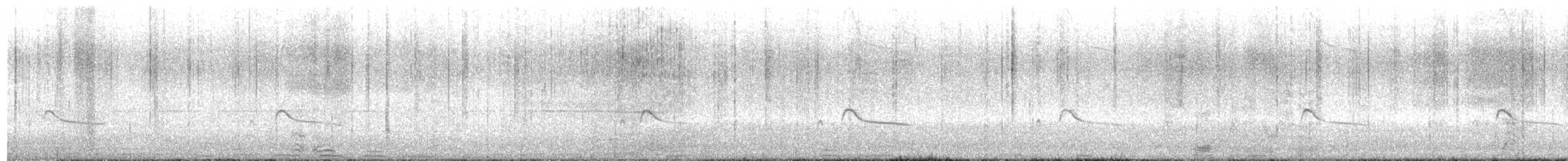 Say's Phoebe - ML634120691