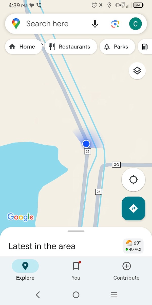 White Ibis - ML634126497