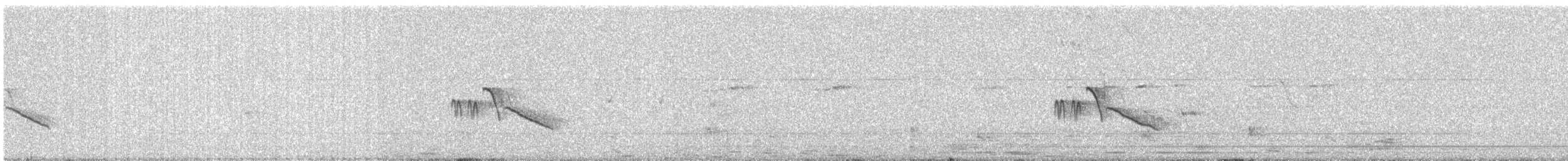 White-browed Wagtail - ML634130234