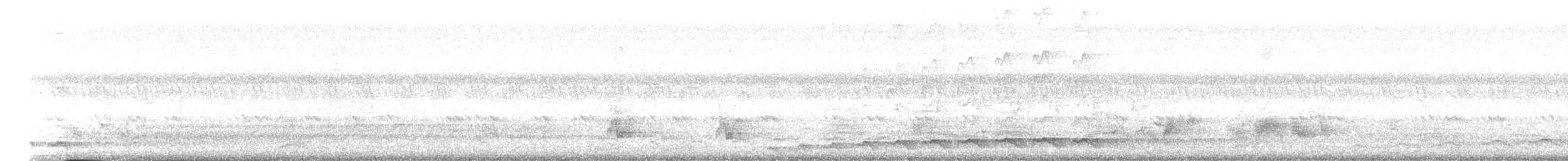 Asian Koel - ML634134031