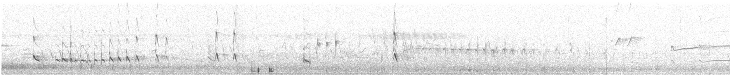 Stilt Sandpiper - ML634137685