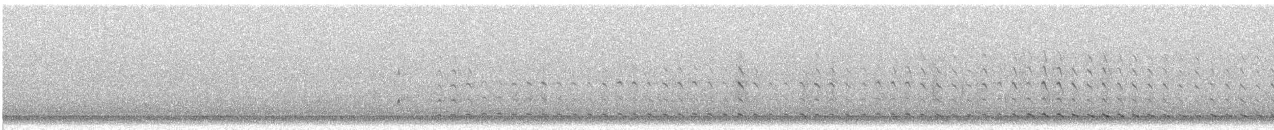 Качка sp. - ML634141938