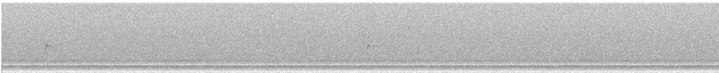 Red Phalarope - ML634142150