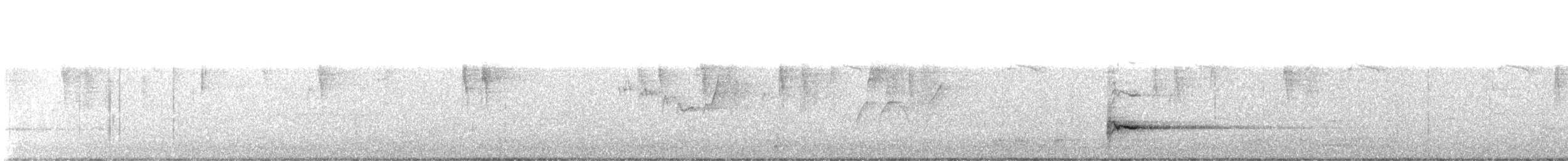 hvittøyleplystrer - ML634142230
