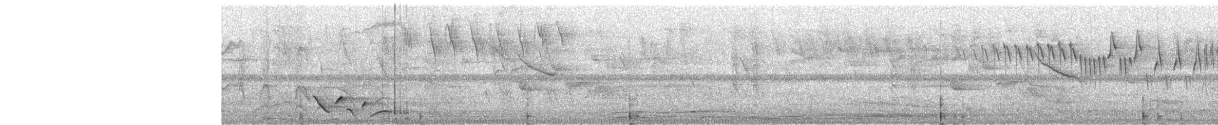 Whiskered Wren - ML634144718