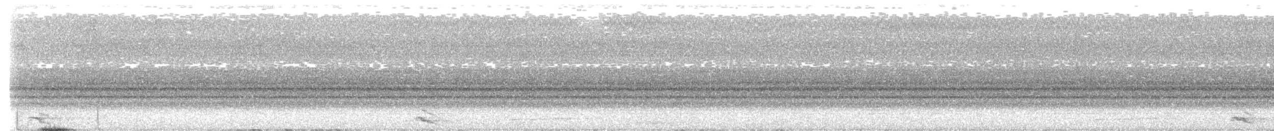 Malcoha Ventrinegro - ML634146888