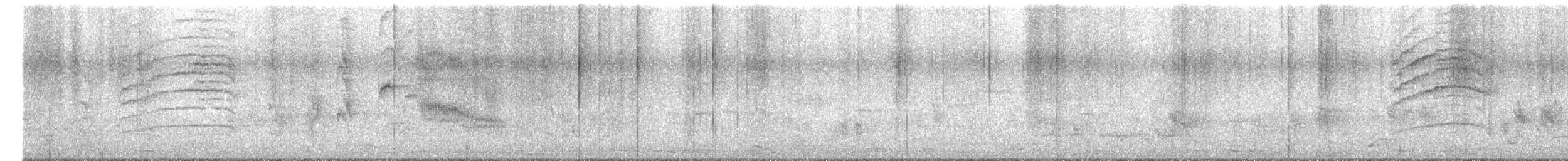 Black Bulbul (leucocephalus Group) - ML634150108