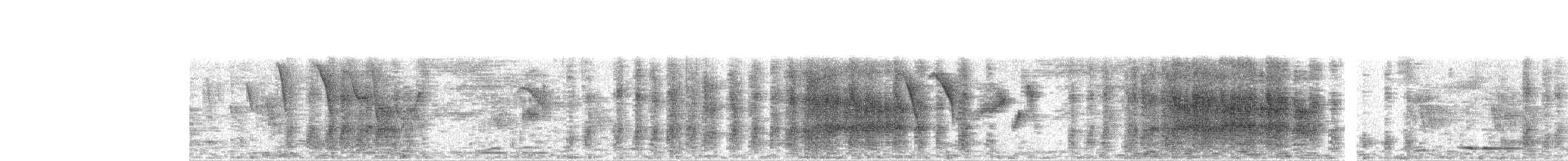 Arrow-marked Babbler - ML634153220