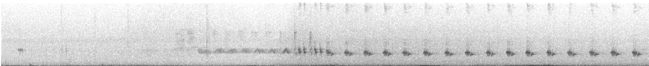 ノドグロハチマキミツスイ（laetior） - ML634155572