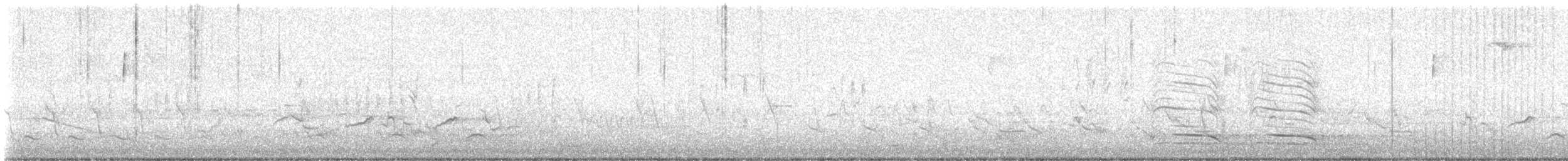 Corvus sp. (crow sp.) - ML634157100