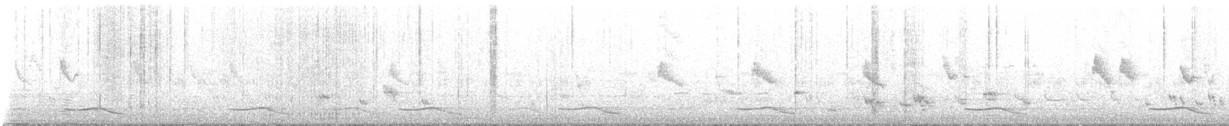 Asian Koel - ML634158335