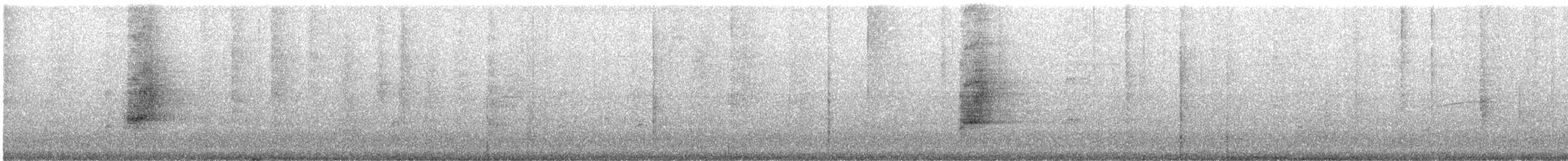 Пласкодзьоб західний - ML634158362