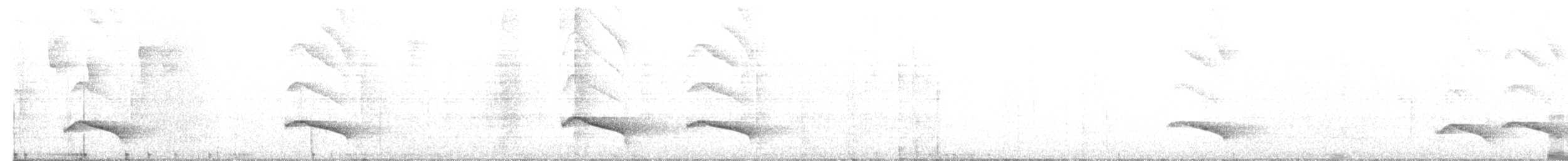 Mérulaxe ocellé - ML634159383