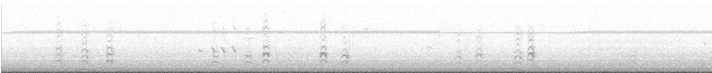 Sterne royale - ML634159513