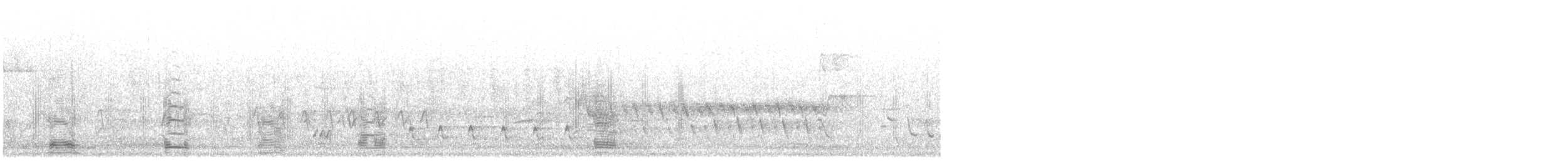 Graylag Goose (Domestic type) - ML634160173