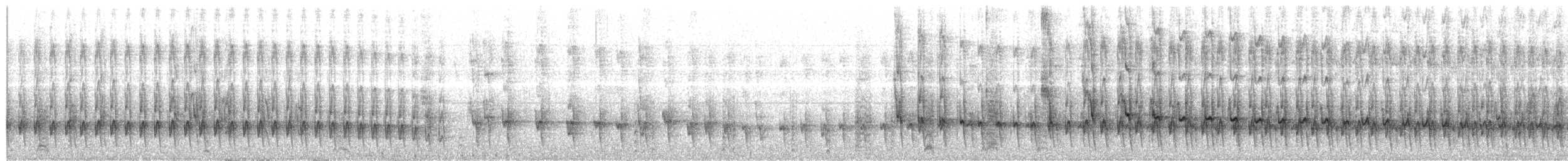 White-throated Cacholote - ML634160276