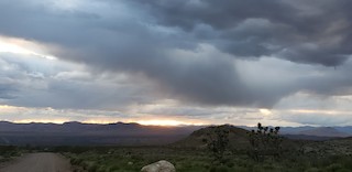 Lytle Ranch Preserve, Washington, Utah, United States - eBird Hotspot