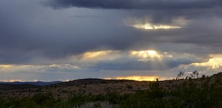 Lytle Ranch Preserve, Washington, Utah, United States - eBird Hotspot