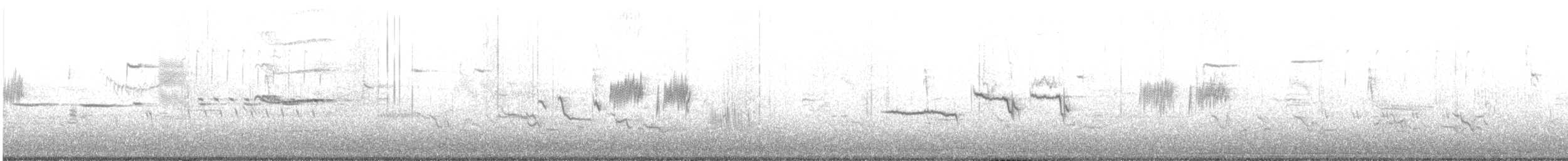 strnadec bělopásý - ML634160381