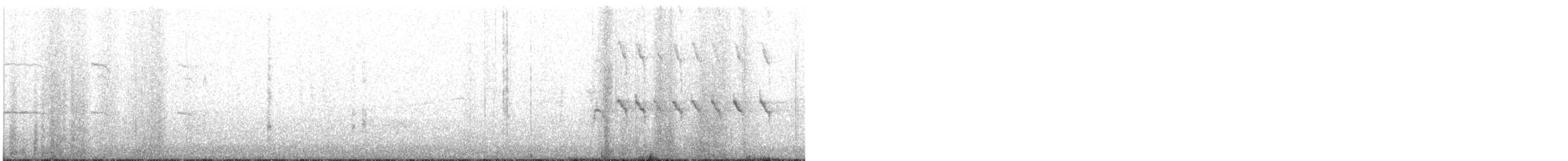 Kildir txirritxoa - ML634160535