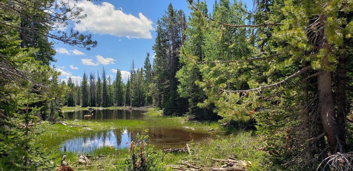 Not specified - Matthew Pendleton