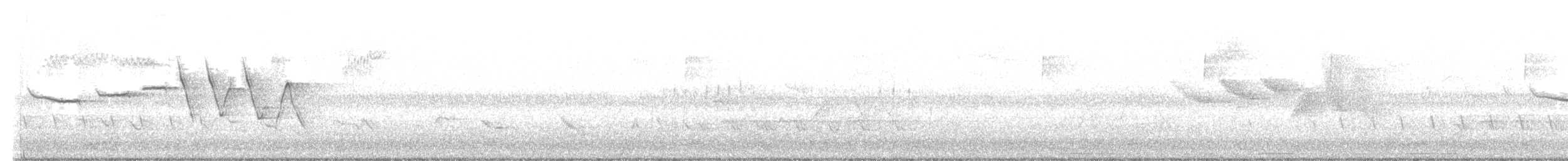 Swainson's Warbler - ML634169266