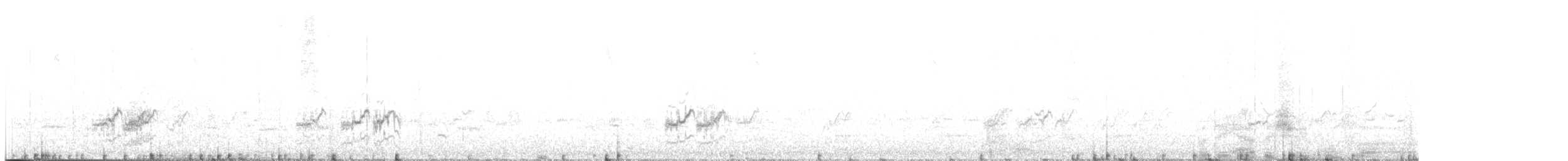 Barred Parakeet - ML634185970