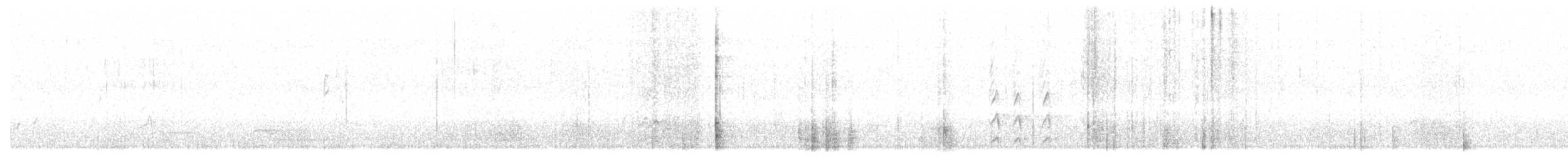 Méliphage serti - ML634190380