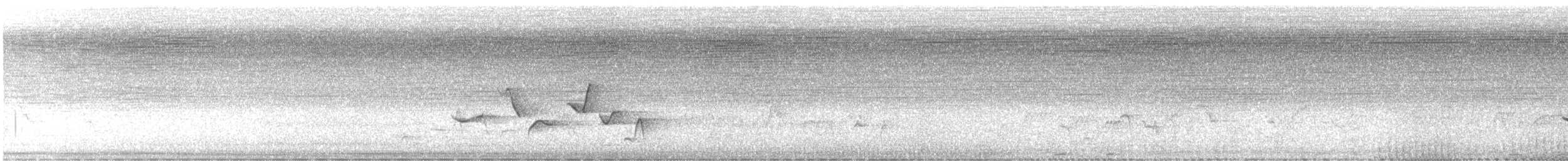 Spot-breasted Wren - ML634194314